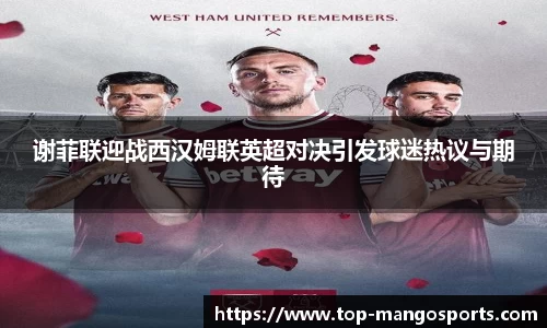 谢菲联迎战西汉姆联英超对决引发球迷热议与期待